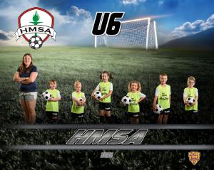 U6 Tim Hortons Yellow